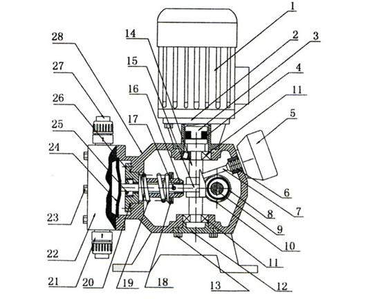 计量泵部位结构展示图